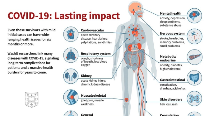 Infographic: Lasting Impacts Of Covid-19