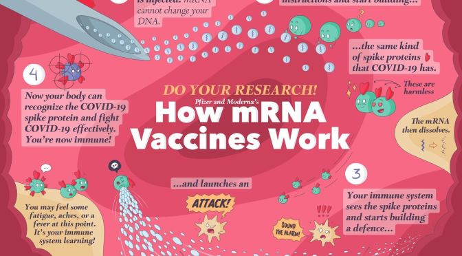 Covid-19 Infographics: How mRNA Vaccines Work