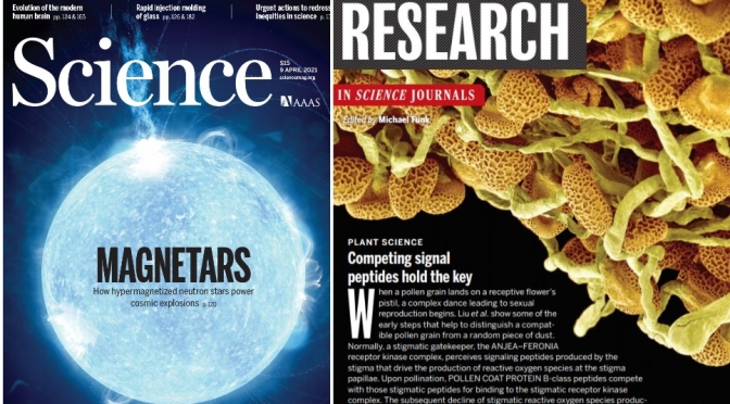 TOP JOURNALS: RESEARCH HIGHLIGHTS FROM SCIENCE MAGAZINE (APRIL 9, 2021)
