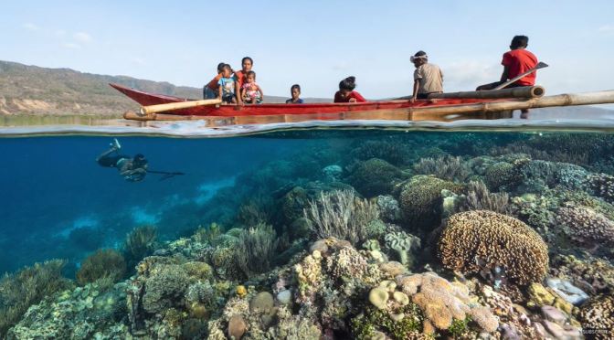 Travel & Photography: Underwater Beauty Of Coral Reefs In Timor-Leste