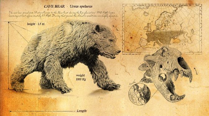 Animals & Wildlife: ‘The Evolution Of Bears’