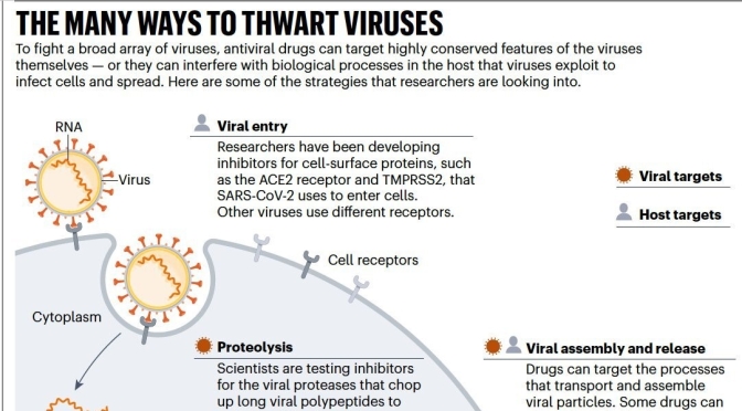 Infographic: ‘The Many Ways To Thwart Viruses’