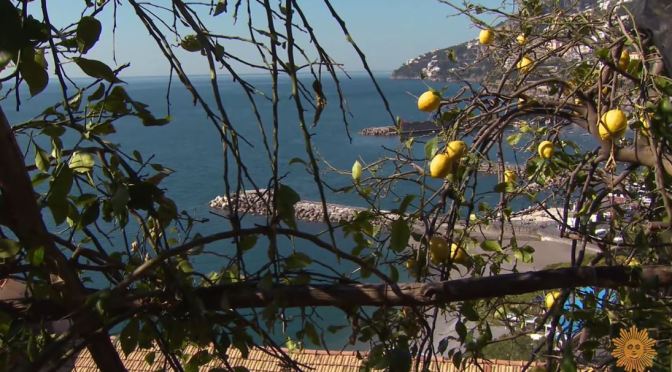 Culinary Landscapes: Growing Lemons On The Amalfi Coast, Italy (Video)