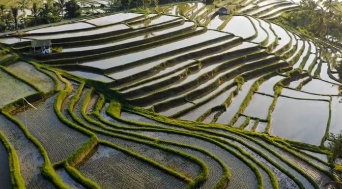 Travel Views: Landscapes & Cities Of Vietnam (Video)