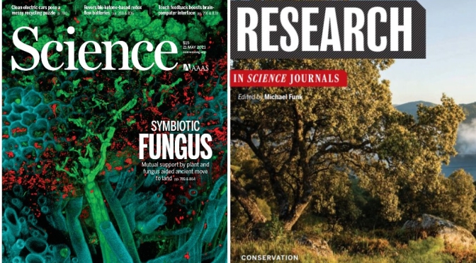TOP JOURNALS: RESEARCH HIGHLIGHTS FROM SCIENCE MAGAZINE (MAY 21, 2021)