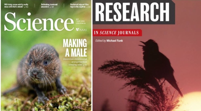 TOP JOURNALS: RESEARCH HIGHLIGHTS FROM SCIENCE MAGAZINE (May 7, 2021)