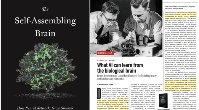 Book Reviews: ‘The Self-Assembling Brain’ – The Future  Benefits For AI