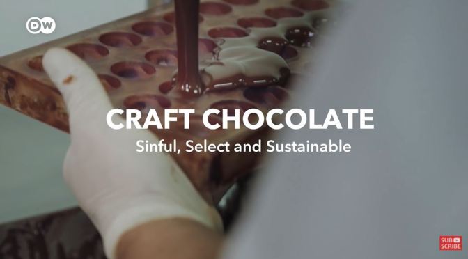 Craft Chocolate: Finding The Best Cacao Beans