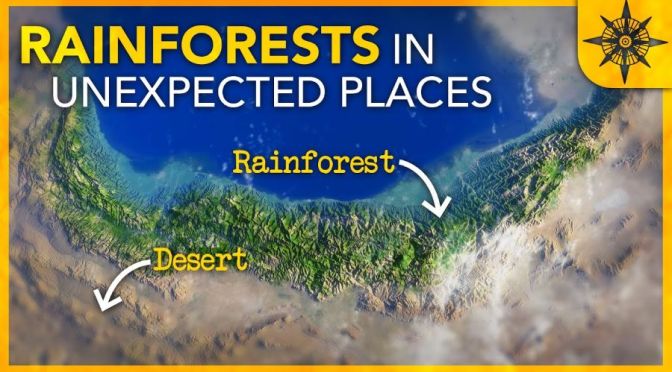 Climate: Rainforests In Some Unexpected Places