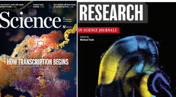 TOP JOURNALS: RESEARCH HIGHLIGHTS FROM SCIENCE MAGAZINE (June 4, 2021)