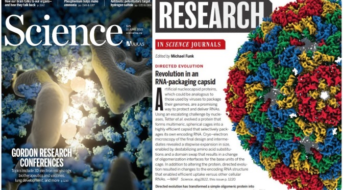 TOP JOURNALS: RESEARCH HIGHLIGHTS FROM SCIENCE MAGAZINE (JUNE 11, 2021)