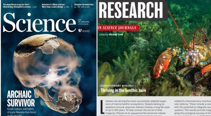 TOP JOURNALS: RESEARCH HIGHLIGHTS FROM SCIENCE MAGAZINE (JUNE 25, 2021)