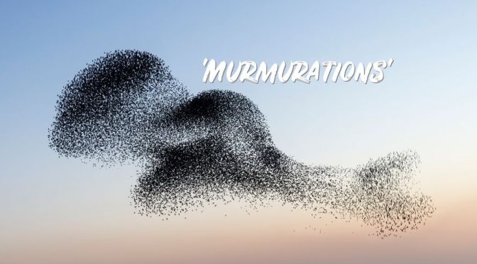 Denmark Views: Starling ‘Murmurations’ (Video)