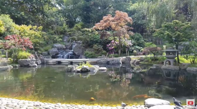 Walks: Kyoto & Fukushima Gardens In London (4K)