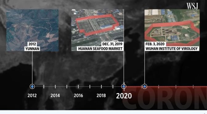 Analysis: The Hunt For Covid-19’s Origins (WSJ)