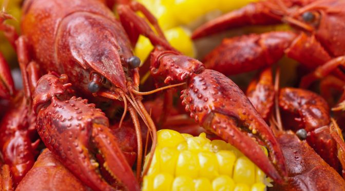 Views: How Louisiana Rice Farmers Produce Millions Of Pounds Of Crawfish