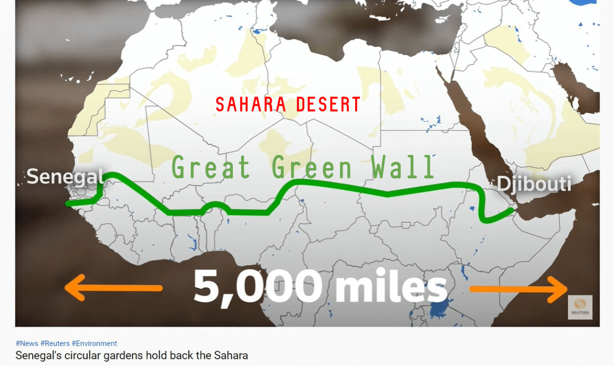 Sahara Senegal Plants Circular Gardens To Prevent Desertification