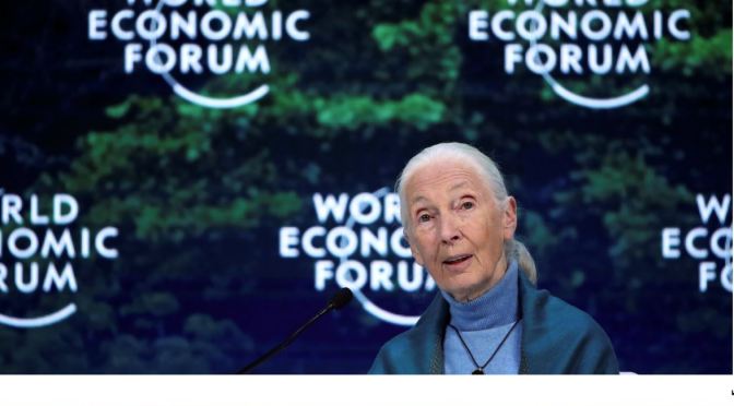Views: Anthropologist Jane Goodall Still Has Hope For Humanity (NYT)