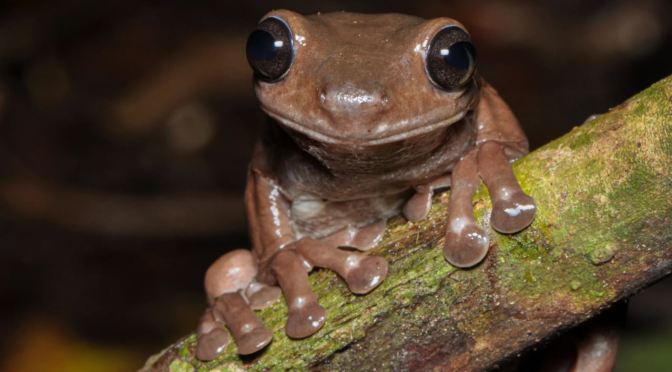 Photography: Best Of Nature  (July 2021)