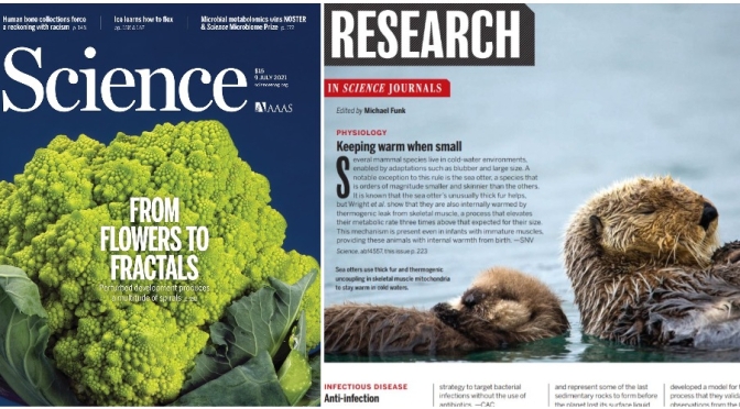 TOP JOURNALS: RESEARCH HIGHLIGHTS FROM SCIENCE MAGAZINE (JULY 9, 2021)