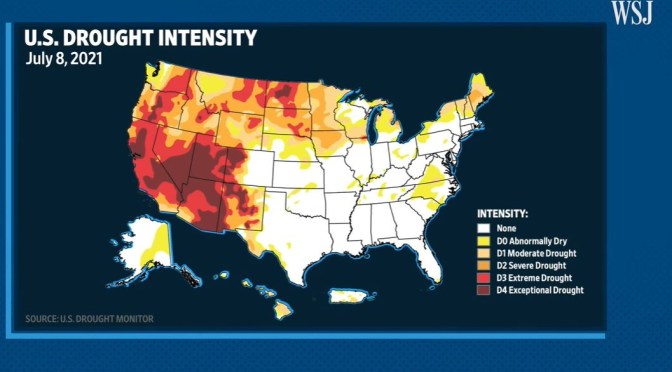 Analysis: The Western U.S. Drought’s Major Impacts