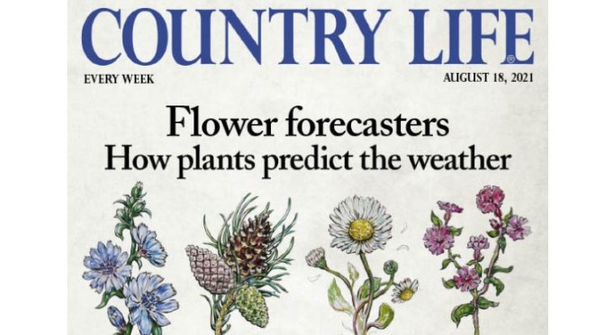 Front Covers: Country Life UK Magazine – Aug 18