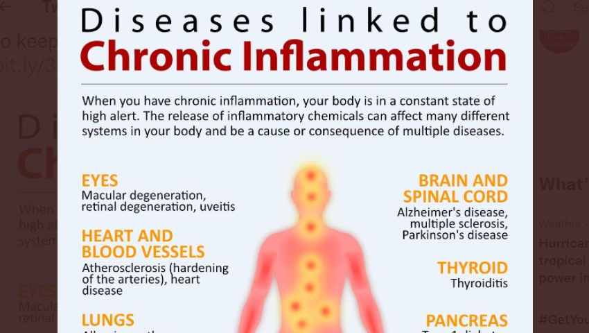 Infographic: Disease & Chronic Inflammation | Boomers Daily
