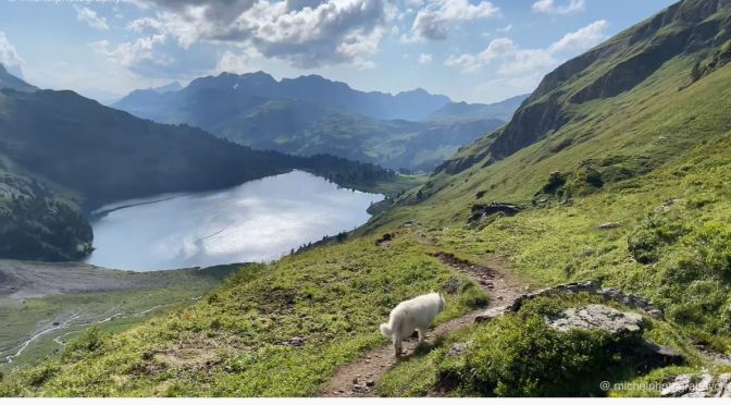 Hiking Views: The ‘Tell Trail’ In Switzerland (4K)