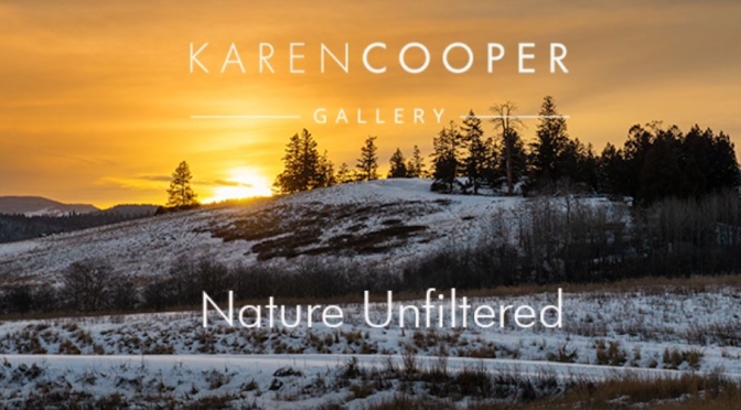 Outdoor Photography: Karen Cooper – ‘Nature Unfiltered’ – Vancouver