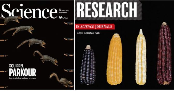 Front Covers: Science Magazine – August 6, 2021