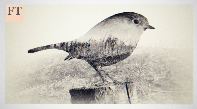 Poetry: ‘To John’ Keats By Inua Ellams (Video)