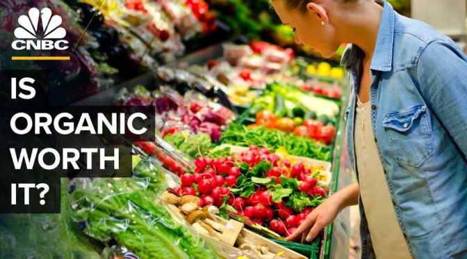 Analysis: The Truth About Buying Organic Foods