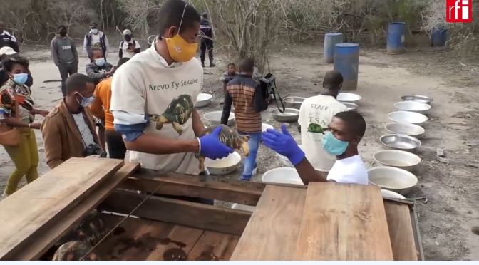 Views: Saving Radiated Tortoises In Madagascar