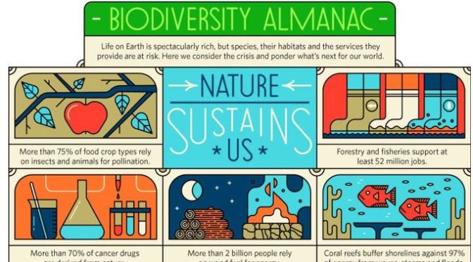 Infographic: Biodiversity – ‘How Nature Sustains Us’