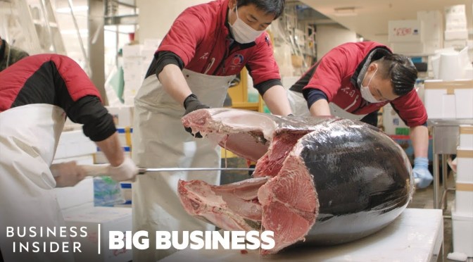 Inside Views: The Toyosu Seafood Market in Tokyo