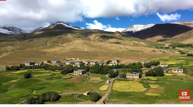 Cultural Views: A Barley Harvest In Himalayan Tibet