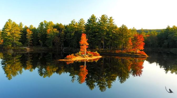 Seasonal Views: Best Of Autumn In New England