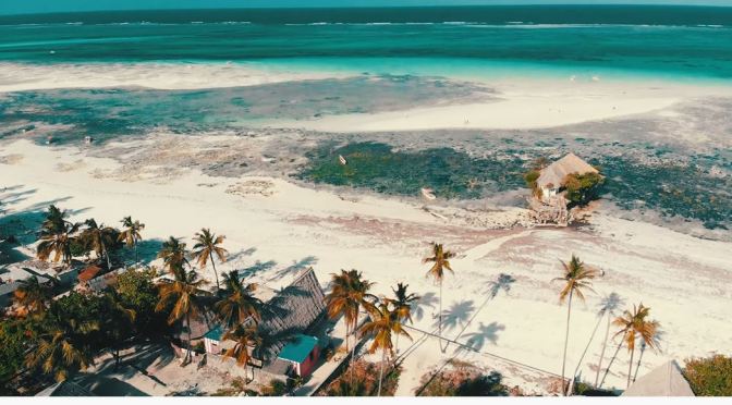 Cinematic Travel: Island Of Zanzibar In Tanzania