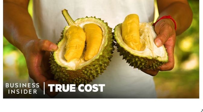 Malaysia: Land Battle For Durian – “King Of Fruits”