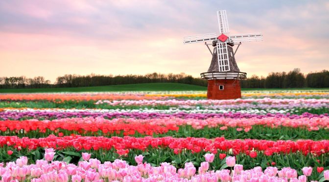 Netherlands Views: Cities, Windmills & Landscapes