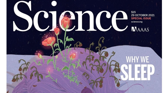 Science Magazine: “Why We Sleep” –  October 29