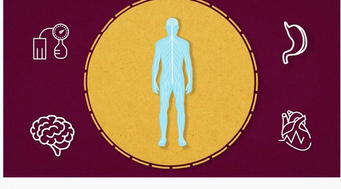 Science Of The Brain: What Is Interoception? (Scripps)