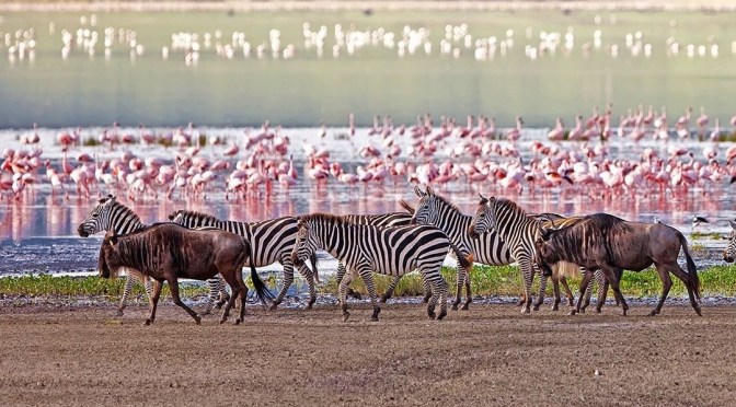 Views: Top 25 National Parks In Africa (Video)