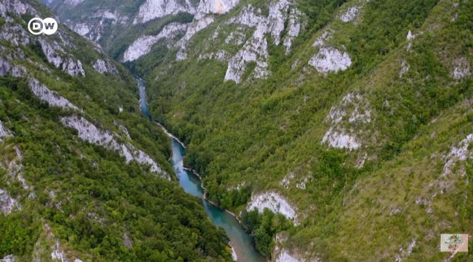 Views: Exploring Europe’s Grand Canyon – The Tara River Gorge, Montenegro