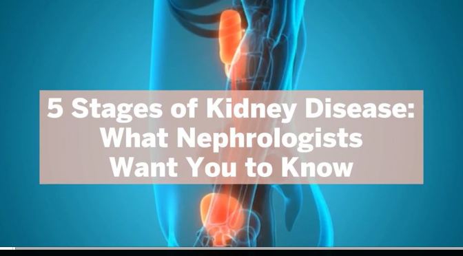 Health: 5 Conditions That Can Damage Your Kidneys