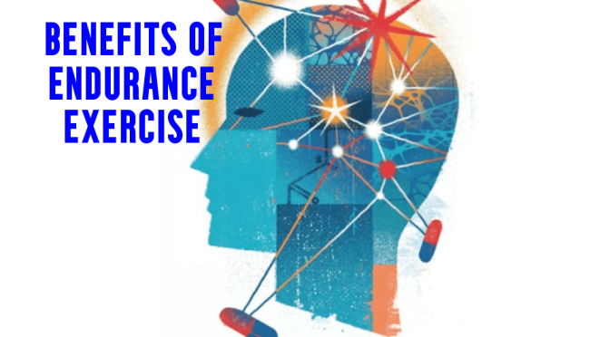 Brain Health: The Benefits Of Endurance Exercise