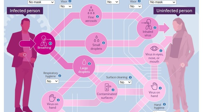 Covid-19: The Best Ways To Avoid Virus Transmission