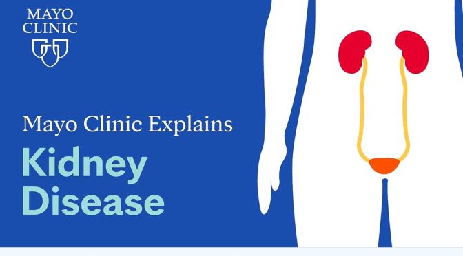 Medicine: Kidney Disease Explained (Mayo Clinic)