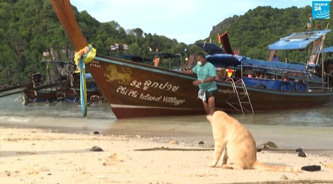 Views: Maya Bay In The Phi Phi Islands Of Thailand