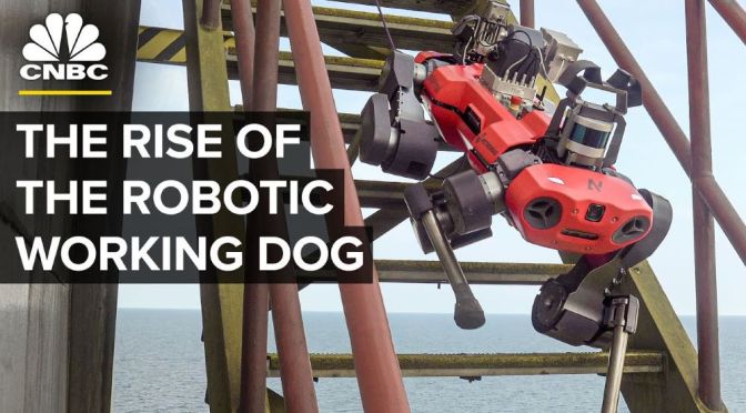 Technology: The Rise Of Robotic Working Dogs